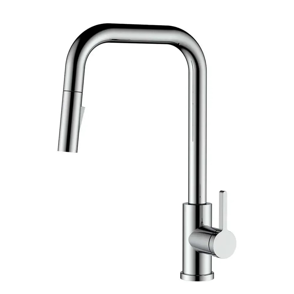 Hamilton Pull Down — Chrome