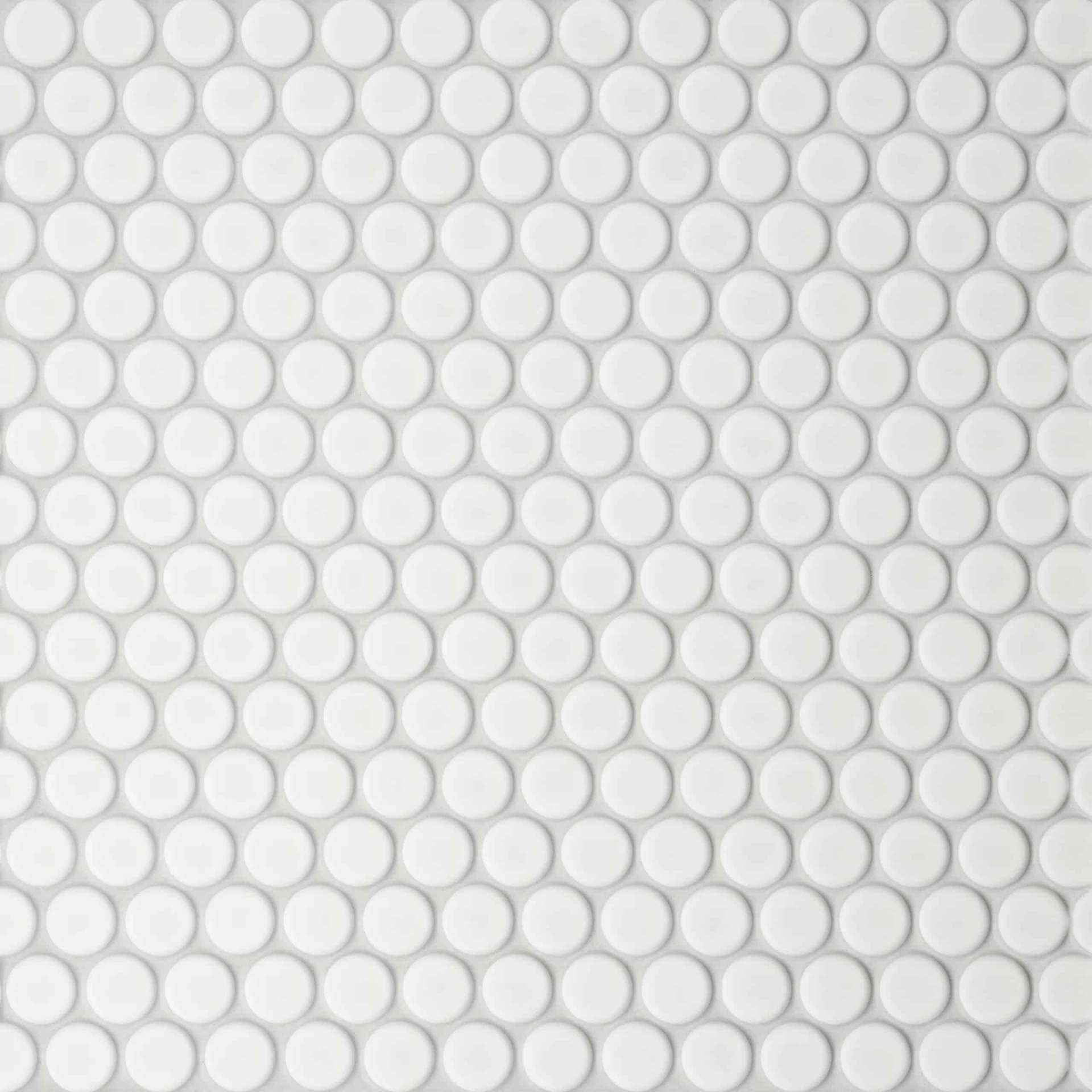 White Penny 12 x 12