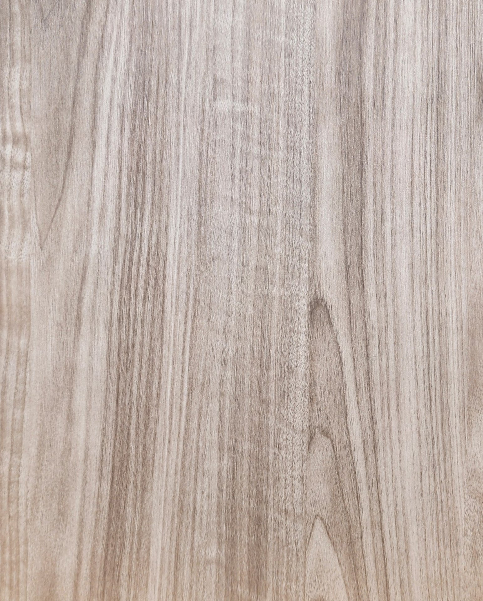 Pearly Elm