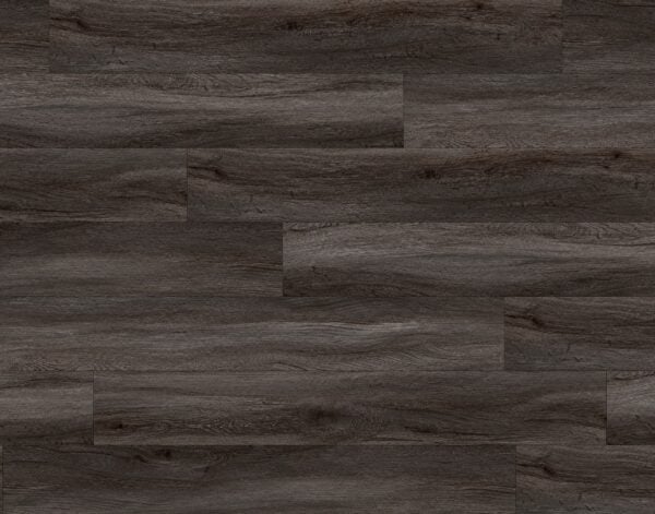SPC Mocha