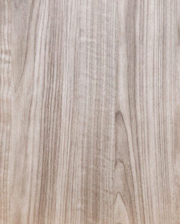 Pearly Elm